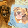 Blankets