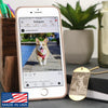 Pet Military Tag